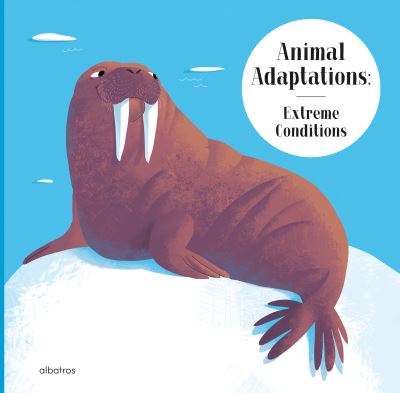 Animal Adaptations