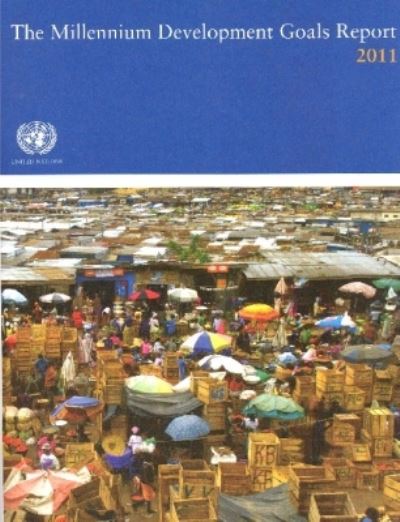 The Millennium Development Goals Report