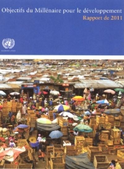 Objectifs Du Millénaire Pour Le Développement