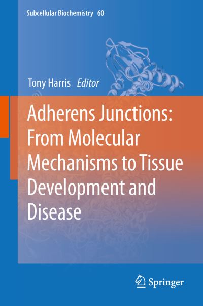 Adherens Junctions