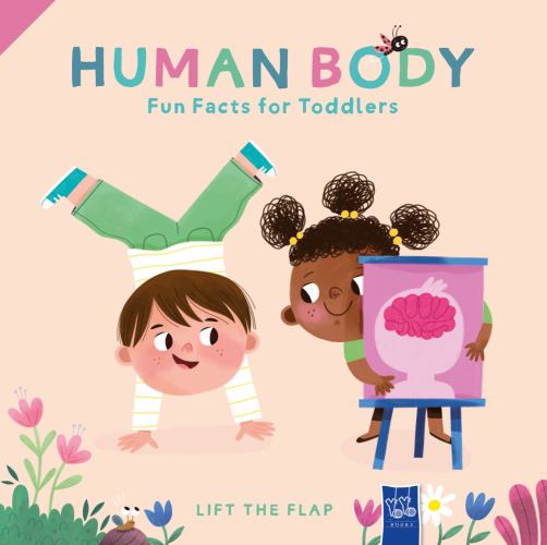 Human Body