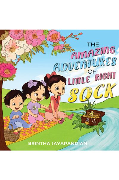 The Amazing Adventures of Little Right Sock
