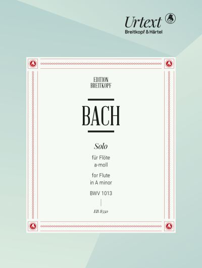 Solo in A Minor BWV 1013