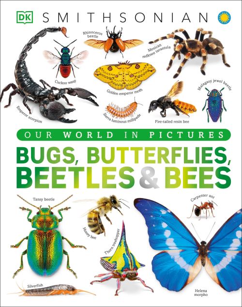 Bugs, Butterflies, Beetles and Bees