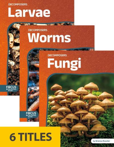 Decomposers