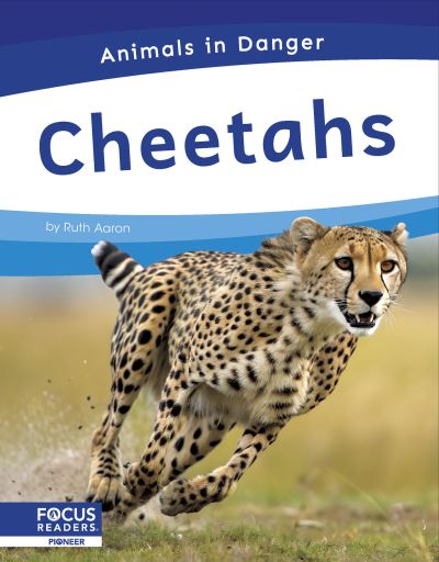 Cheetahs. Hardcover
