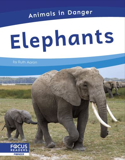 Elephants. Hardcover