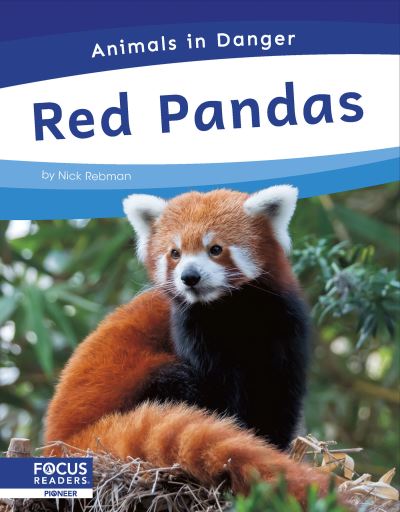 Red Pandas. Paperback