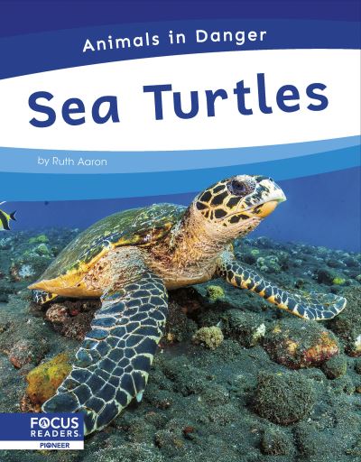 Sea Turtles. Paperback