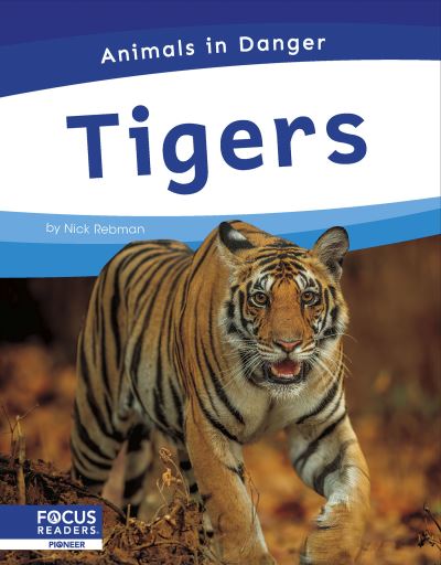 Tigers. Paperback