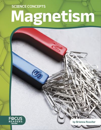 Magnetism. Paperback