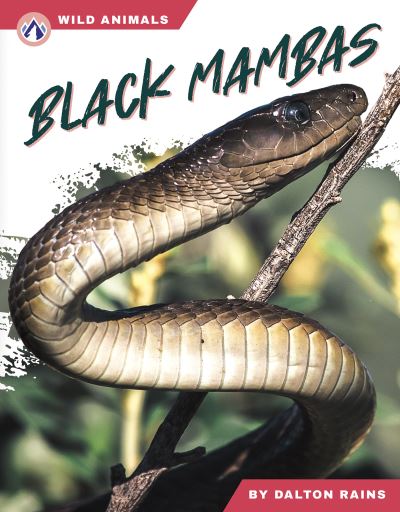 Black Mambas. Hardcover
