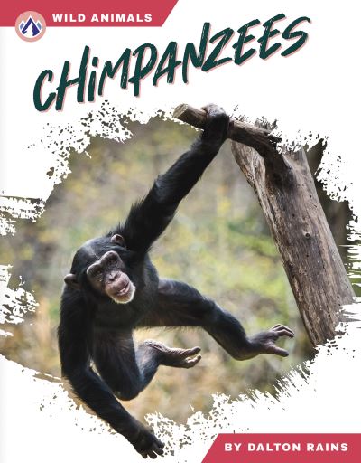 Chimpanzees. Paperback