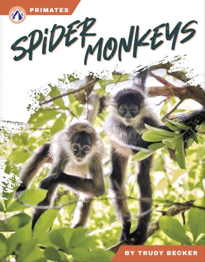 Spider Monkeys. Hardcover