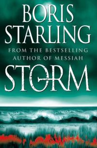 Book Cover for Storm by Boris Starling