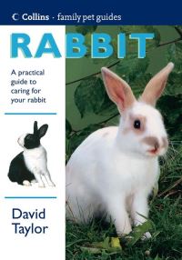 Book Cover for Rabbit by David Taylor