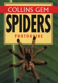 Book Cover for Spiders Photoguide by Paul Hillyard