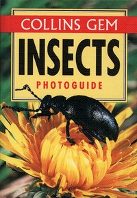 Book Cover for Insects Photoguide by 