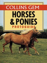 Book Cover for Horses & Ponies Photoguide by Deborah Gill, Deborah Cook