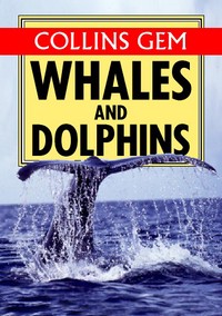 Book Cover for Whales & Dolphins by Mark Carwardine
