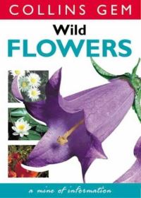 Book Cover for Wild Flowers by Martin Walters