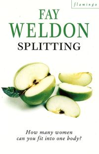 Book Cover for Splitting by Fay Weldon