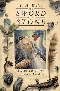 Book Cover for The Sword in the Stone by T. H. White