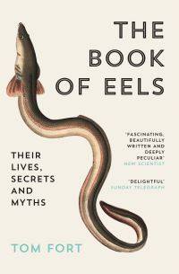 Book Cover for The Book of Eels by Tom Fort