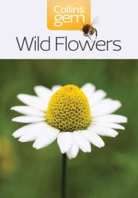 Book Cover for Wild Flowers by 