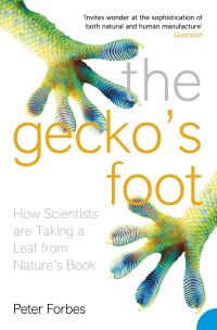 Book Cover for The Gecko's Foot by Peter Forbes