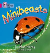 Book Cover for Minibeasts by Siobhan Hardy, Steve Lumb