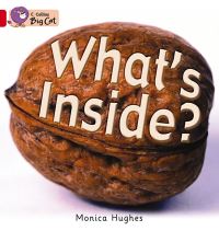 Book Cover for What's Inside? by Monica Hughes