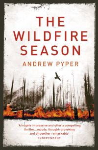 Book Cover for The Wildfire Season by Andrew Pyper