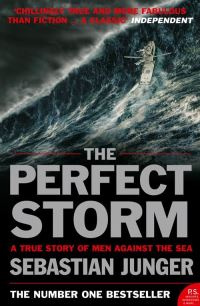 Book Cover for The Perfect Storm by Sebastian Junger
