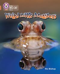 Book Cover for Weird Little Monsters by Nic Bishop