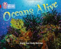 Book Cover for Oceans Alive by Angie Belcher