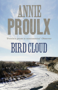 Book Cover for Bird Cloud by Annie Proulx