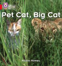 Book Cover for Pet Cat, Big Cat by Alison Hawes