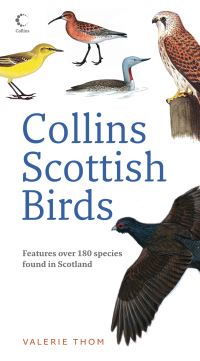 Book Cover for Collins Scottish Birds by Valerie Thom