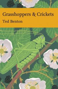 Book Cover for Grasshoppers & Crickets by Ted Benton