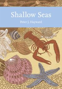 Book Cover for Shallow Seas of Northwest Europe by P J Hayward