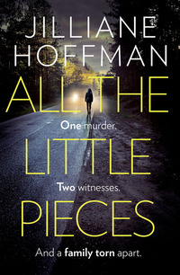 Book Cover for All the Little Pieces by Jilliane Hoffman