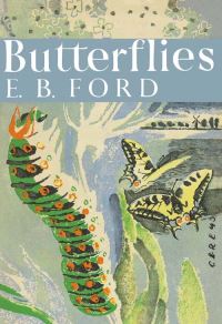 Book Cover for Butterflies by E B Ford