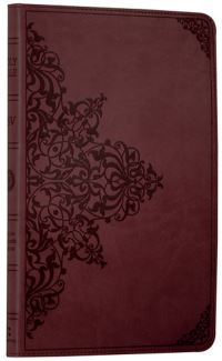 Book Cover for The Holy Bible by 