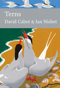 Book Cover for Terns by David Cabot, Ian C T Nisbet