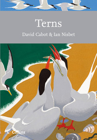 Book Cover for Terns by David Cabot, Ian Nisbet