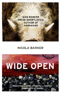 Book Cover for Wide Open by Nicola Barker