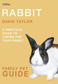 Book Cover for Rabbit by David Taylor
