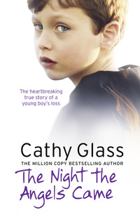 Book Cover for The Night the Angels Came by Cathy Glass