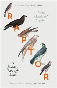 Book Cover for Raptor by James Macdonald Lockhart